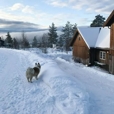 Feriehus Family Estate With View Near Oslo *