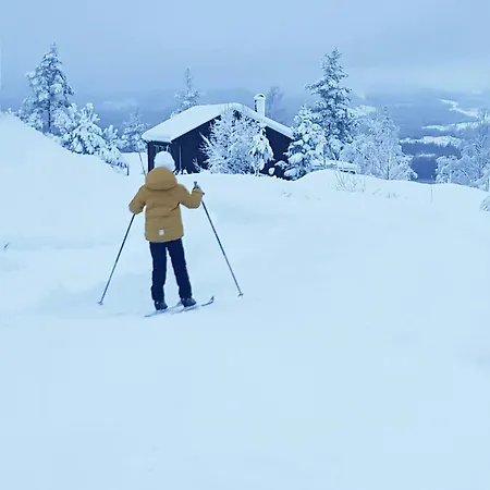 Family Estate With View Near Oslo Prázdninový dům *